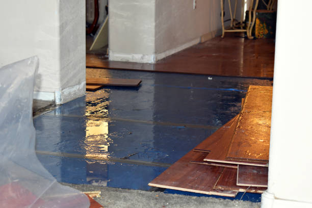 Professional Basement Flooding technician working in New Lothrop, MI